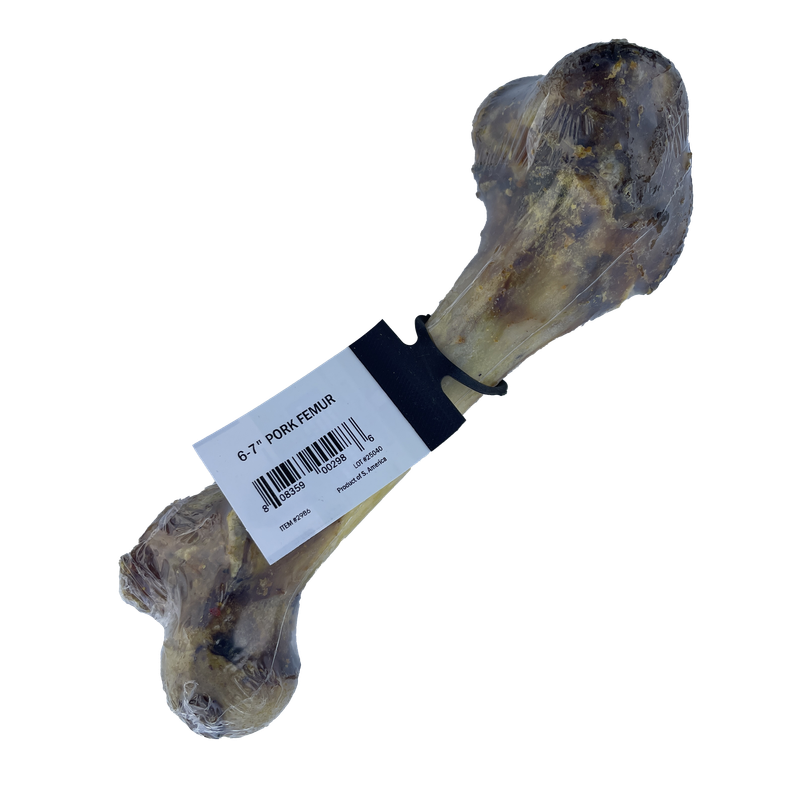 Great Lakes Meaty Pork Femur Bone (6-7 in) Liberty FHG Galion