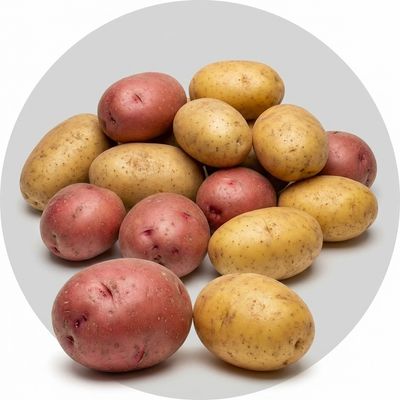 A variety of certified seed potatoes including Red Pontiac and Yukon Gold spread on a rustic surface.