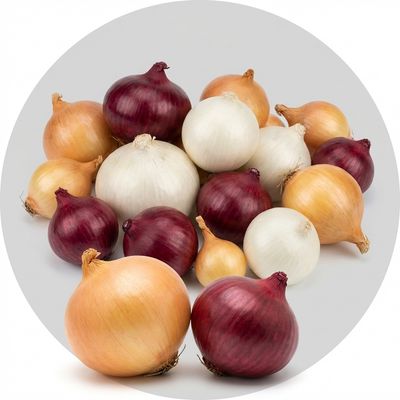Bulk onion sets for garden planting, featuring various cultivars.