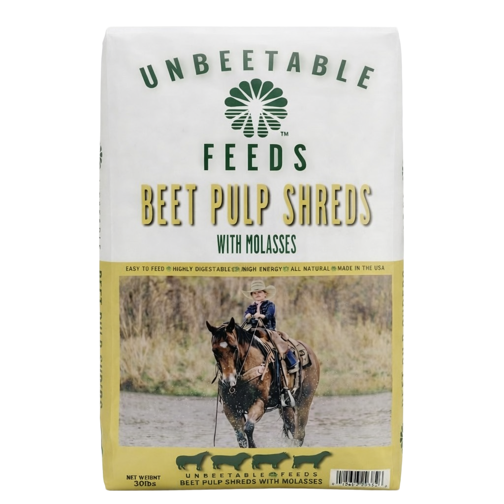 beet pulp shreds with molasses for horse feed and conditioning