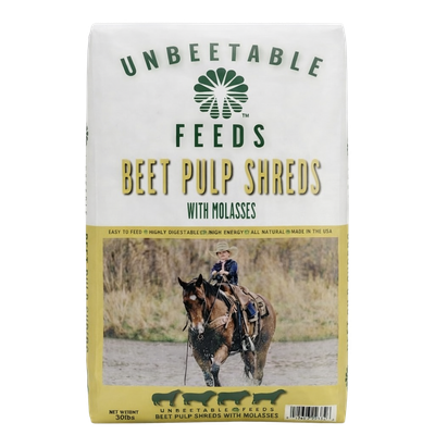 beet pulp shreds with molasses for horse feed and conditioning