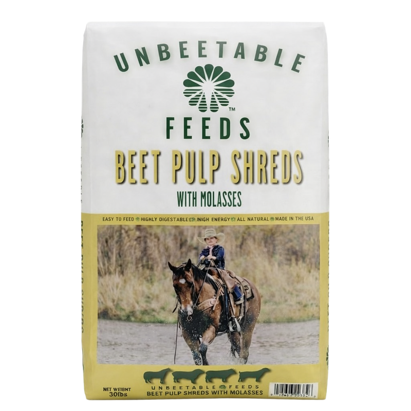 beet pulp shreds with molasses for horse feed and conditioning