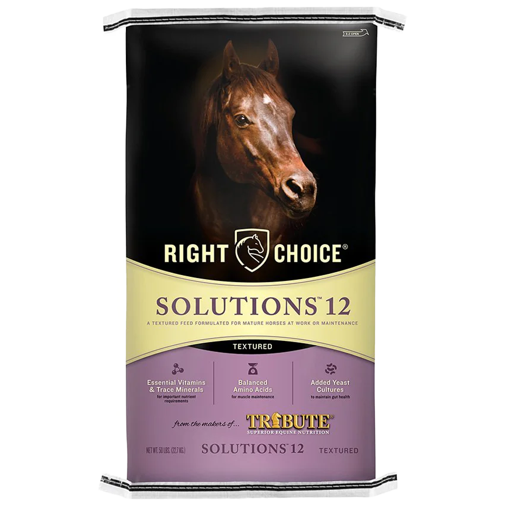 Kalmbach Solutions 12 Textured horse feed for sale in Mount Gilead, OH