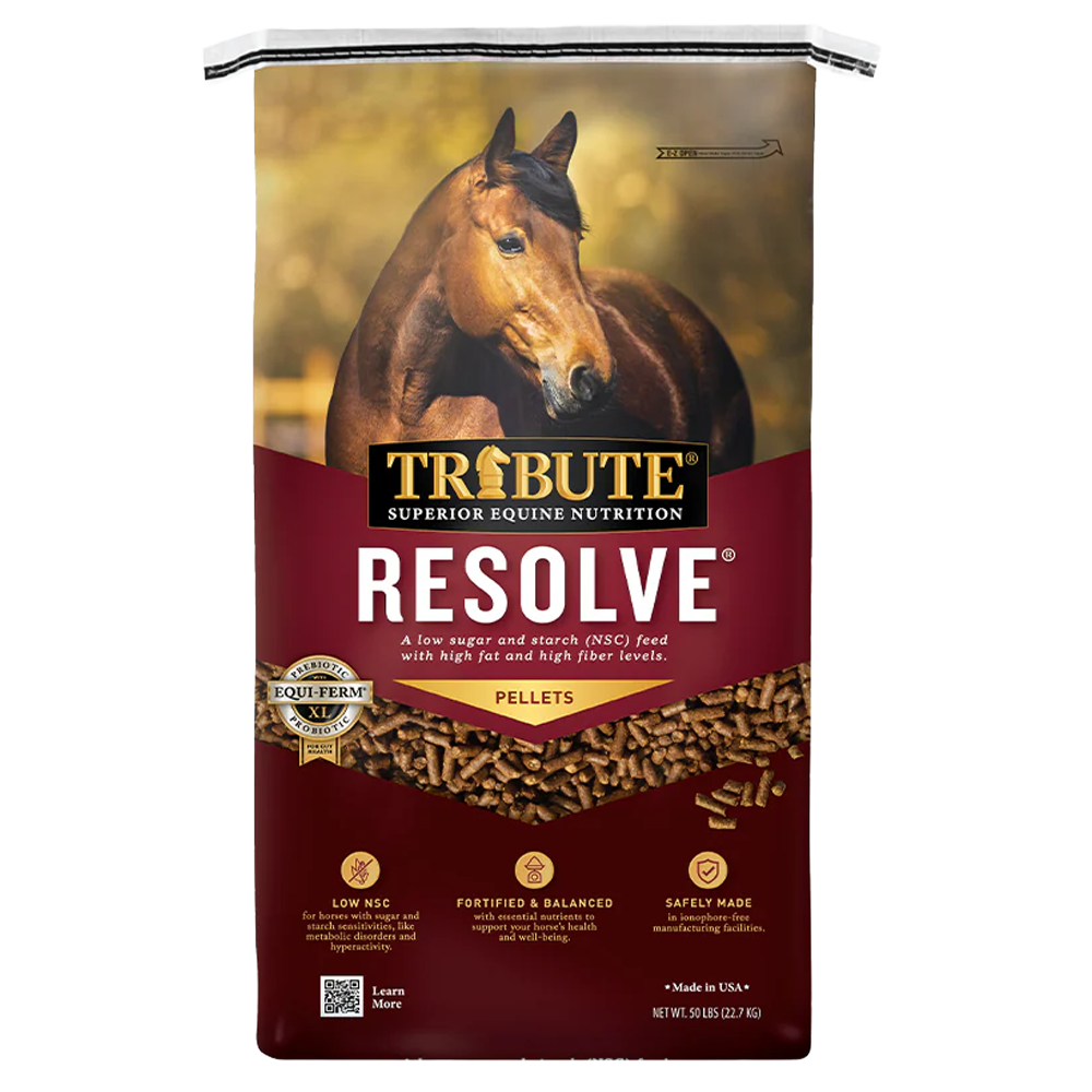 Kalmbach Resolve high fat horse feed for sale in New Washington, OH