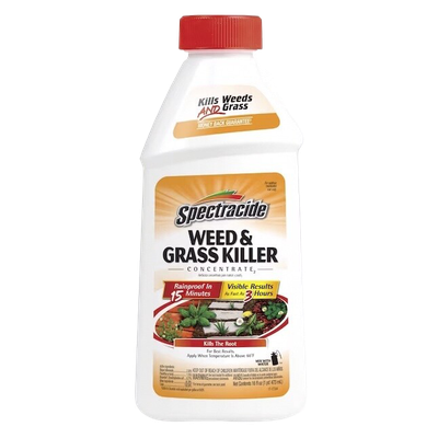 Spectracide 16 oz Weed &amp; Grass Killer concentrate for driveways in Ontario, OH