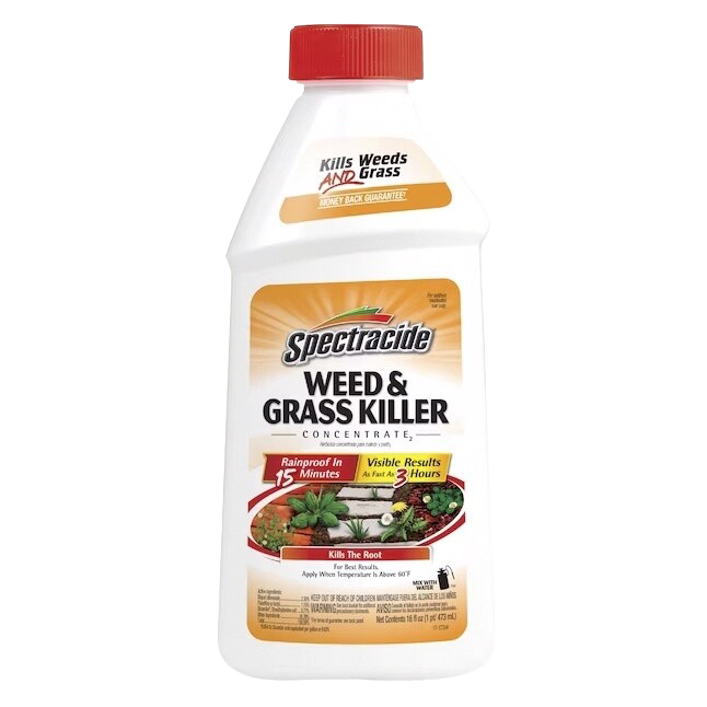 Spectracide 16 oz Weed &amp; Grass Killer concentrate for driveways in Ontario, OH