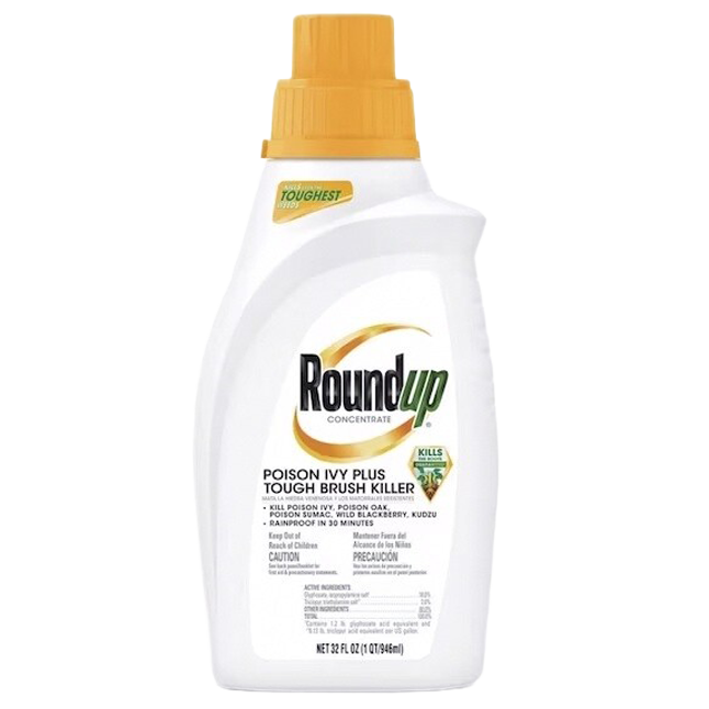 Roundup Poison Ivy and Tough Brush Concentrate 32 oz for woody plant control in North Robinson.