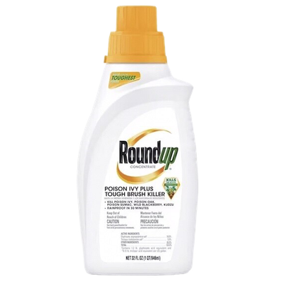 Roundup Poison Ivy and Tough Brush Concentrate 32 oz for woody plant control in North Robinson.