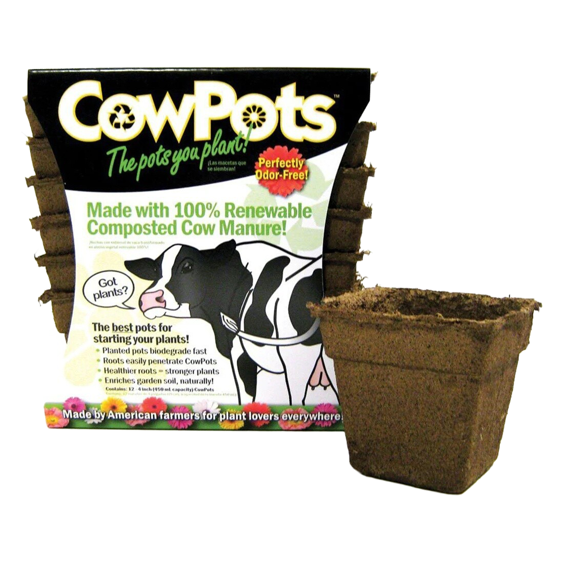 cowpots 4 inch square biodegradable planting pot for seedlings