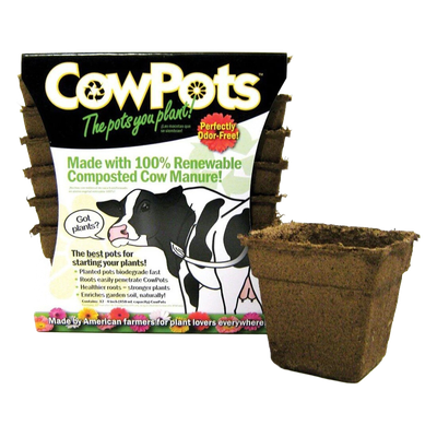 cowpots 4 inch square biodegradable planting pot for seedlings