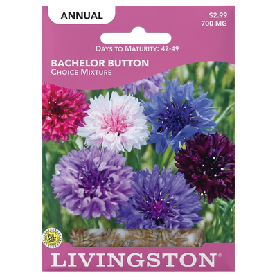 Bachelor Button seeds in Galion for a colorful, non-GMO annual flower garden.