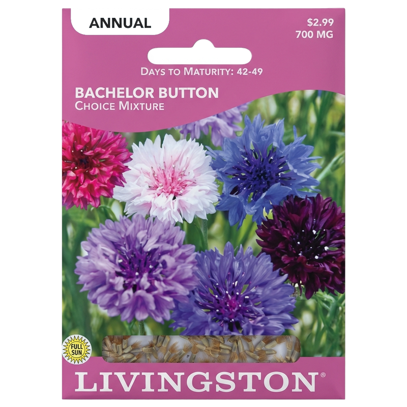 Bachelor Button seeds in Galion for a colorful, non-GMO annual flower garden.
