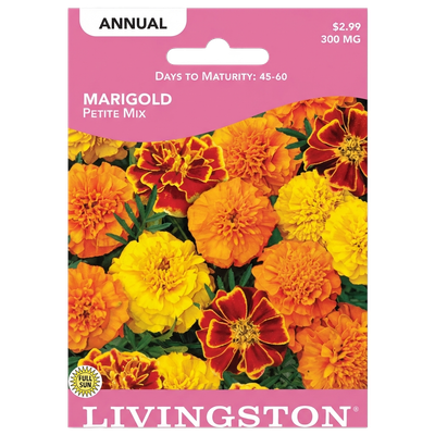 Marigold Petite Mix seeds in Galion for a vibrant, non-GMO annual flower display.