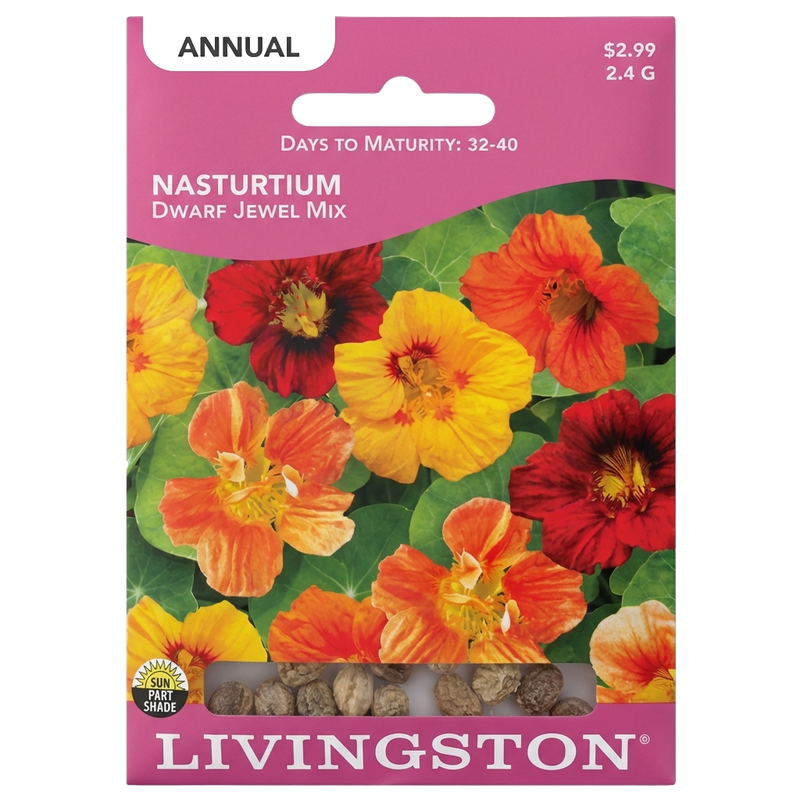 Nasturtium Dwarf Jewel Mix seeds in Galion for vibrant, edible non-GMO garden displays.
