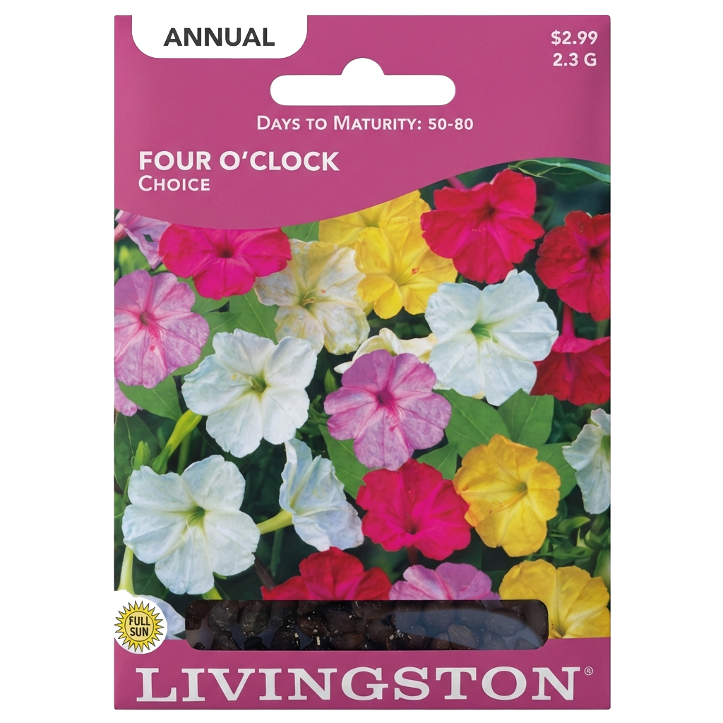 Four O’Clock Choice seeds in Galion for fragrant, non-GMO annual flower gardens.