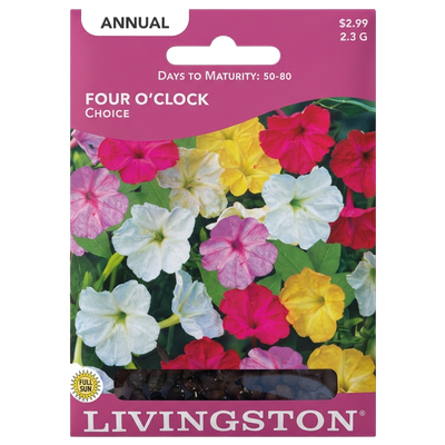 Four O’Clock Choice seeds in Galion for fragrant, non-GMO annual flower gardens.