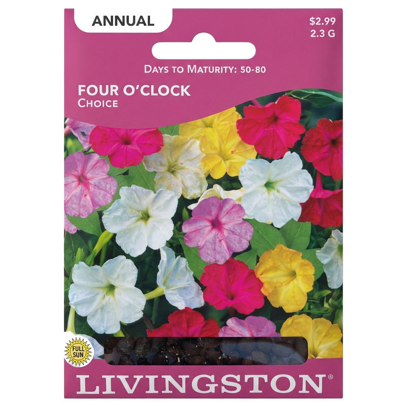 Four O’Clock Choice seeds in Galion for fragrant, non-GMO annual flower gardens.