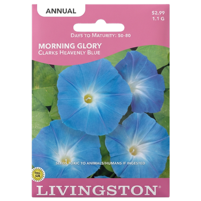 Morning Glory Clark’s Heavenly Blue seeds in Galion for vibrant, non-GMO climbing flower displays.