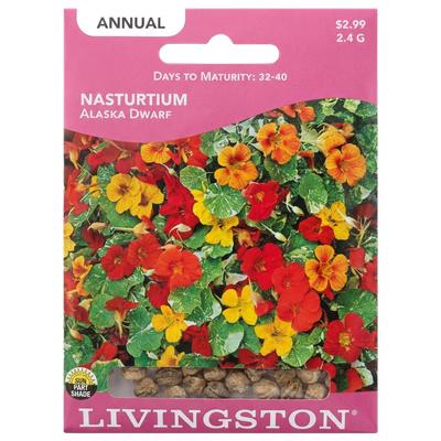 Nasturtium Alaska Dwarf seeds in Galion for unique, variegated non-GMO floral displays.