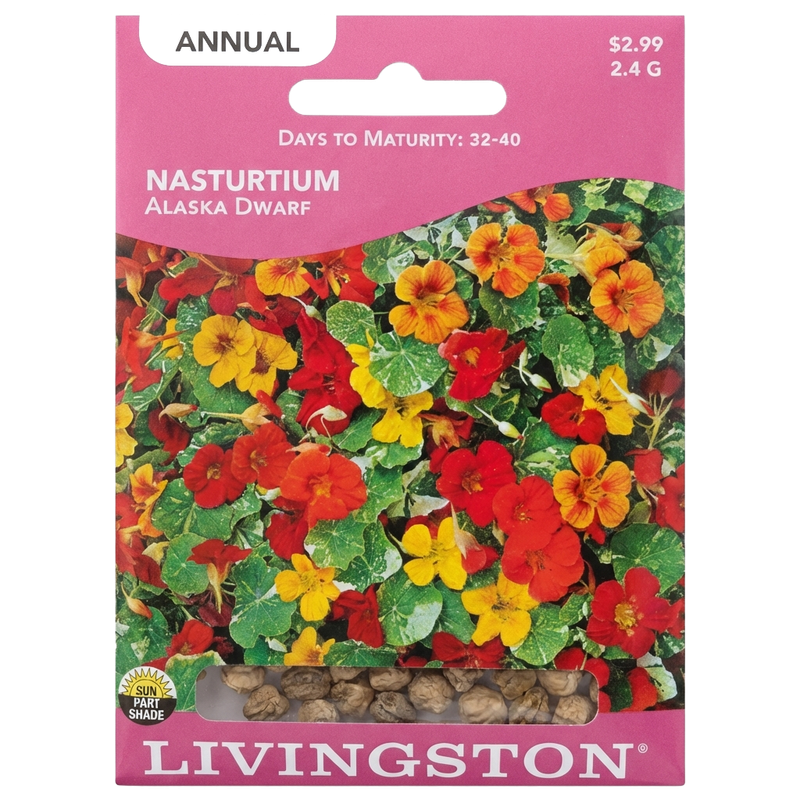 Nasturtium Alaska Dwarf seeds in Galion for unique, variegated non-GMO floral displays.