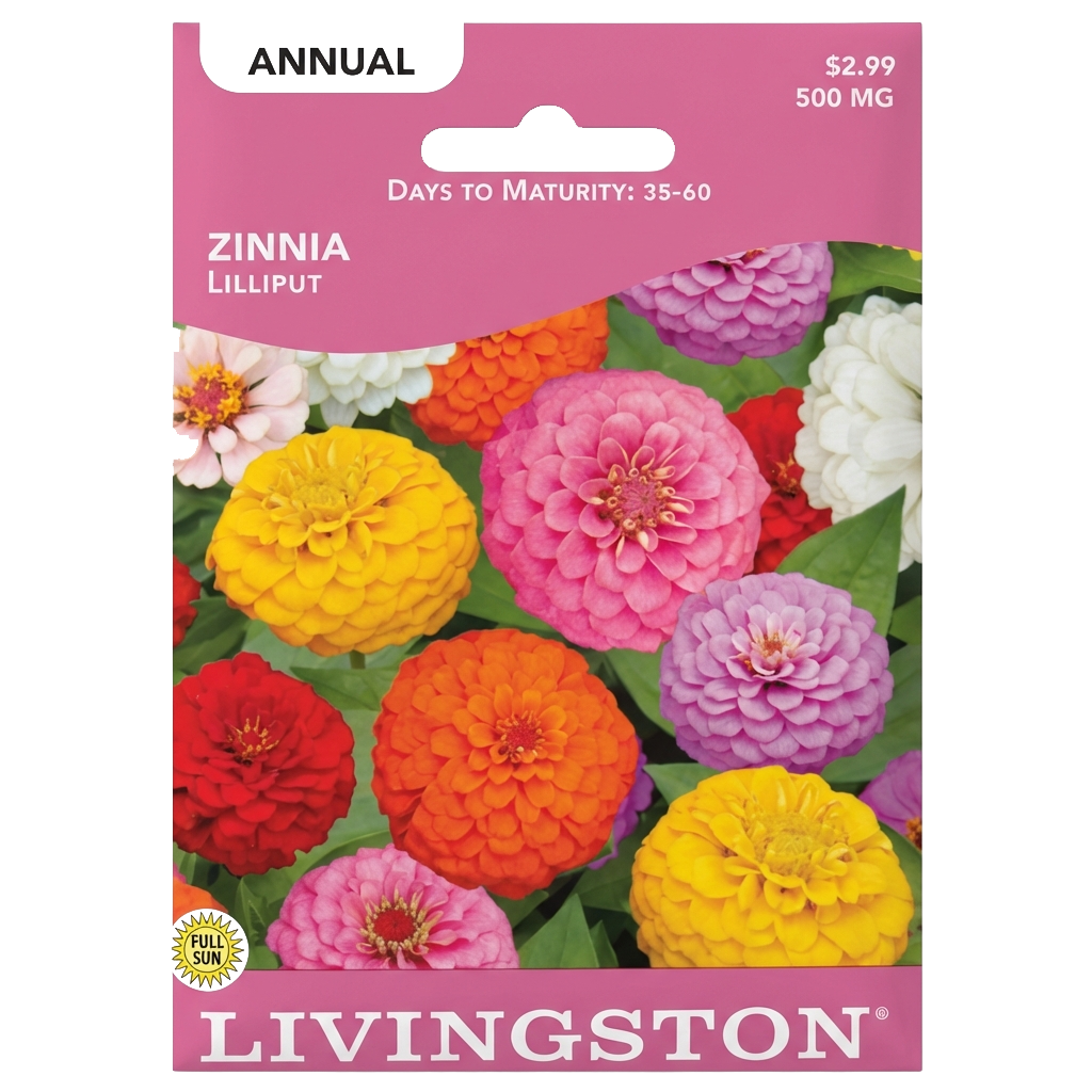 Zinnia Lilliput seeds in Galion for colorful, non-GMO pom-pon flower harvests.