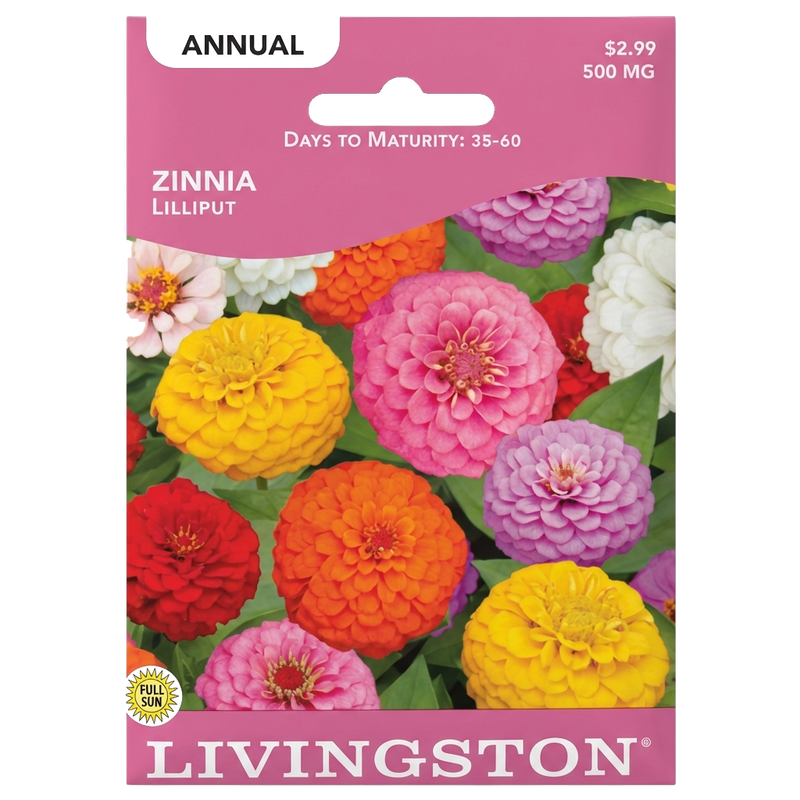 Zinnia Lilliput seeds in Galion for colorful, non-GMO pom-pon flower harvests.