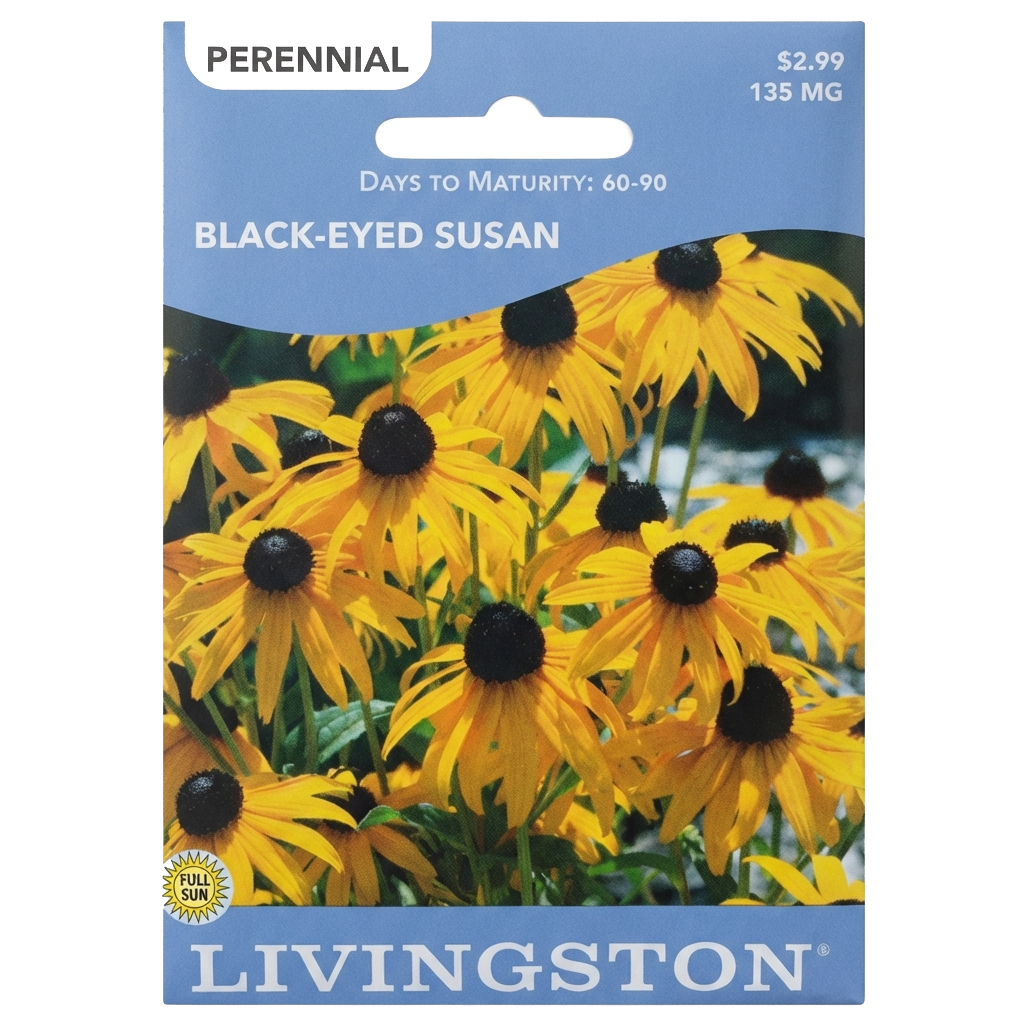 Black-Eyed Susan seeds in Galion for vibrant, non-GMO perennial garden borders.