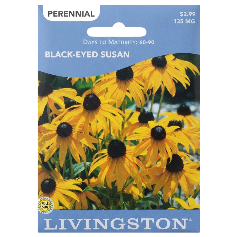 Black-Eyed Susan seeds in Galion for vibrant, non-GMO perennial garden borders.