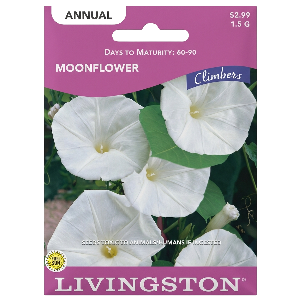 Moonflower seeds in Galion for fragrant, non-GMO climbing annual gardens.