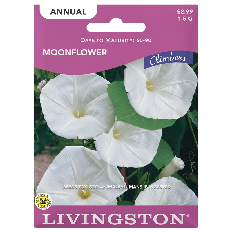 Moonflower seeds in Galion for fragrant, non-GMO climbing annual gardens.