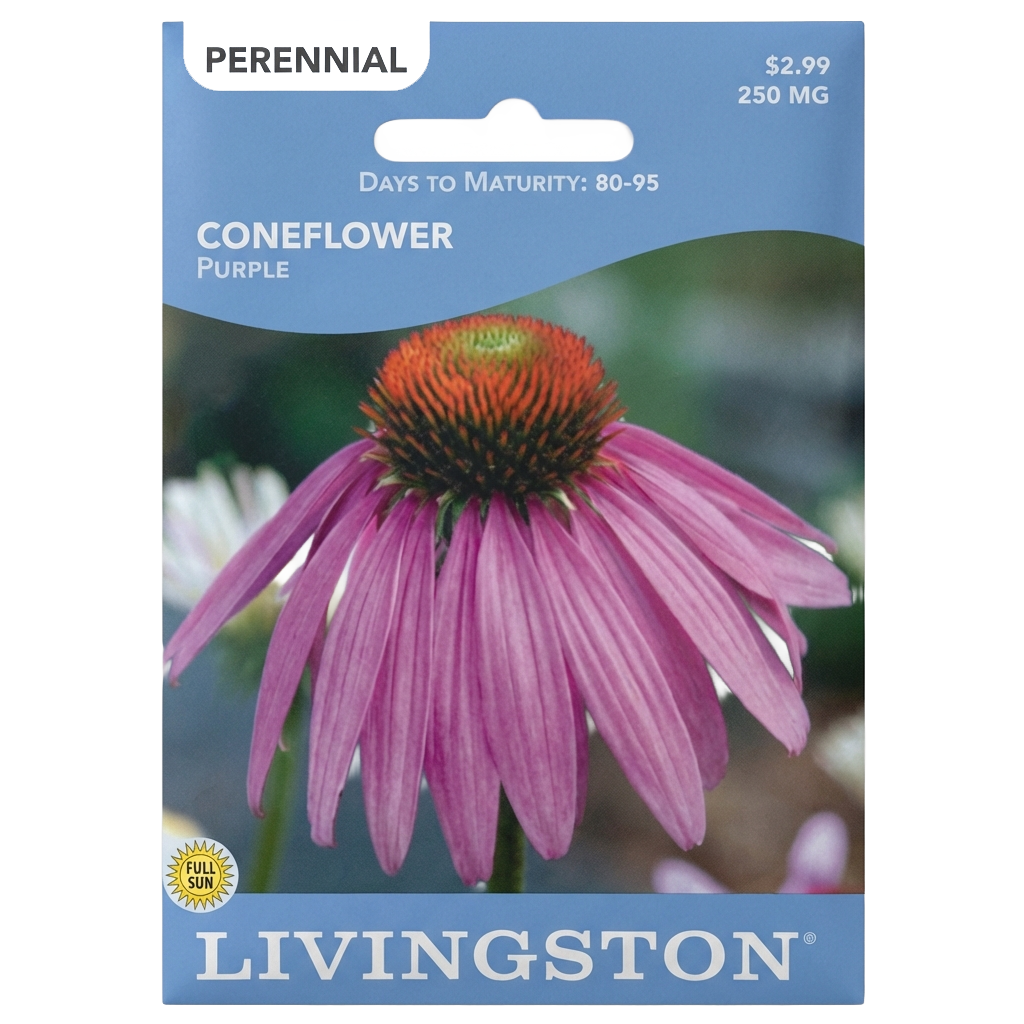 Purple Coneflower seeds in Galion for medicinal, non-GMO perennial garden displays.