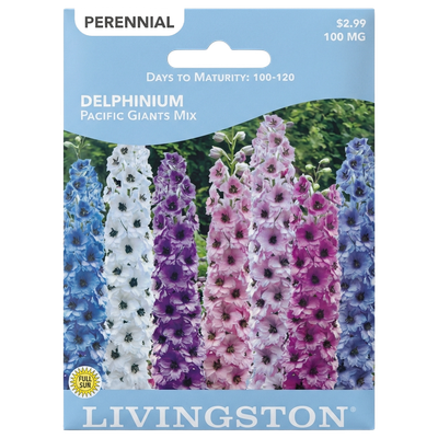 Delphinium Pacific Giants Mix seeds in Galion for towering, non-GMO perennial floral displays.