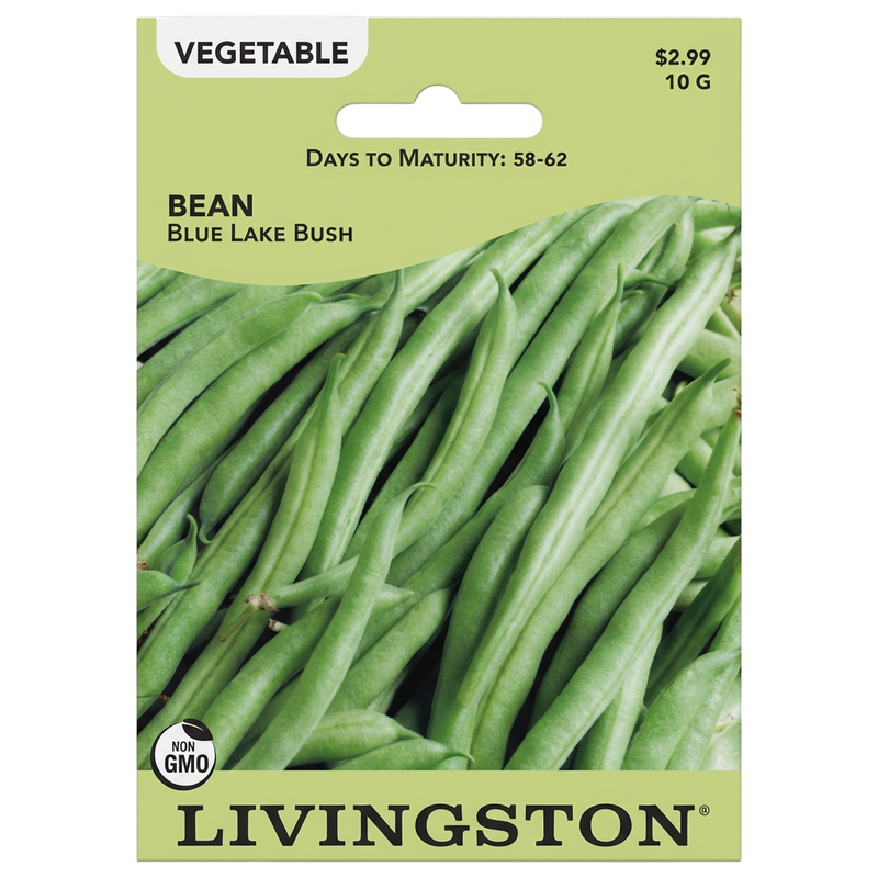 Bean Blue Lake Bush non-GMO seeds for home vegetable gardens in Galion, OH.