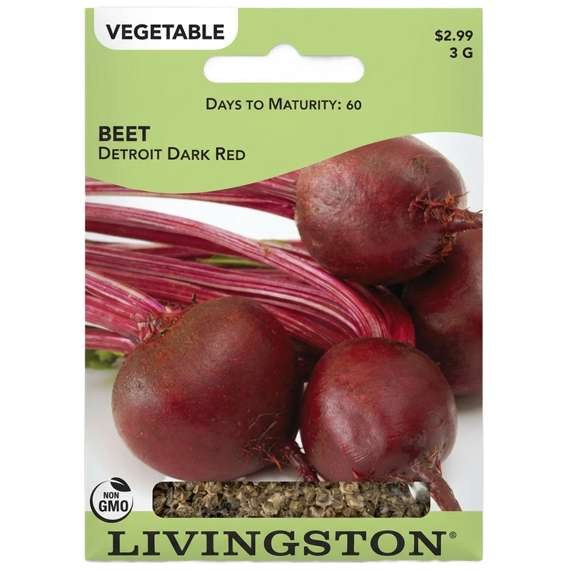 Beet Detroit Dark Red non-GMO garden seeds for home growers in Galion, OH.