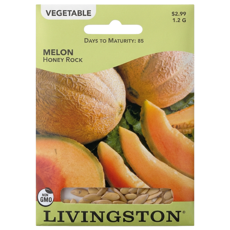 Melon Honey Rock non-GMO garden seeds for home growers in Galion, OH.
