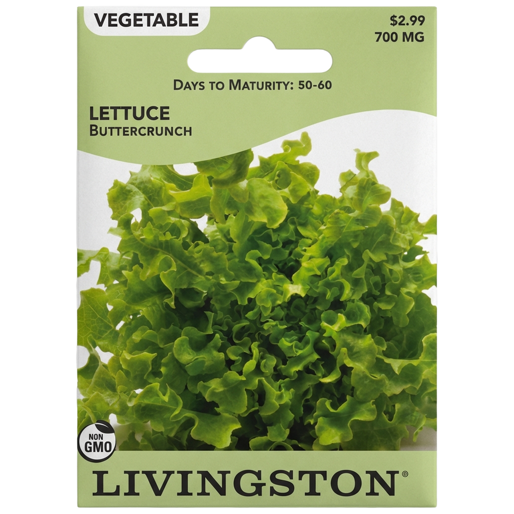Lettuce Buttercrunch non-GMO garden seeds for home vegetable plots in Galion, OH.
