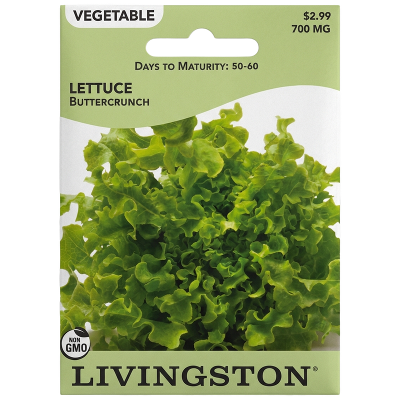 Lettuce Buttercrunch non-GMO garden seeds for home vegetable plots in Galion, OH.