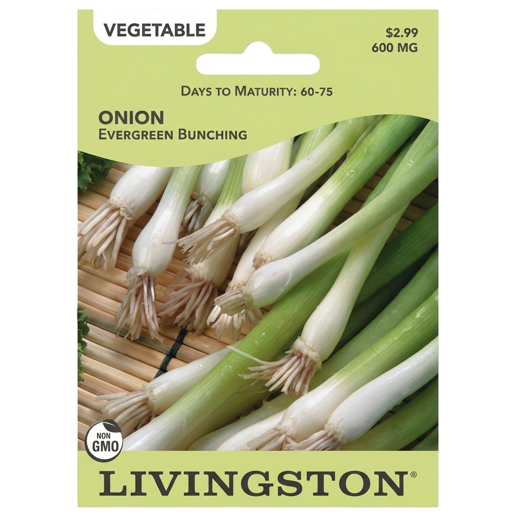 Onion Evergreen Bunching seeds in Galion for year-round green onion harvests.