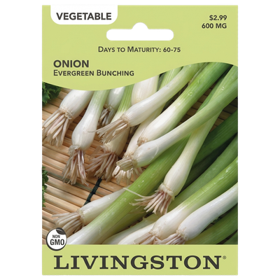 Onion Evergreen Bunching seeds in Galion for year-round green onion harvests.
