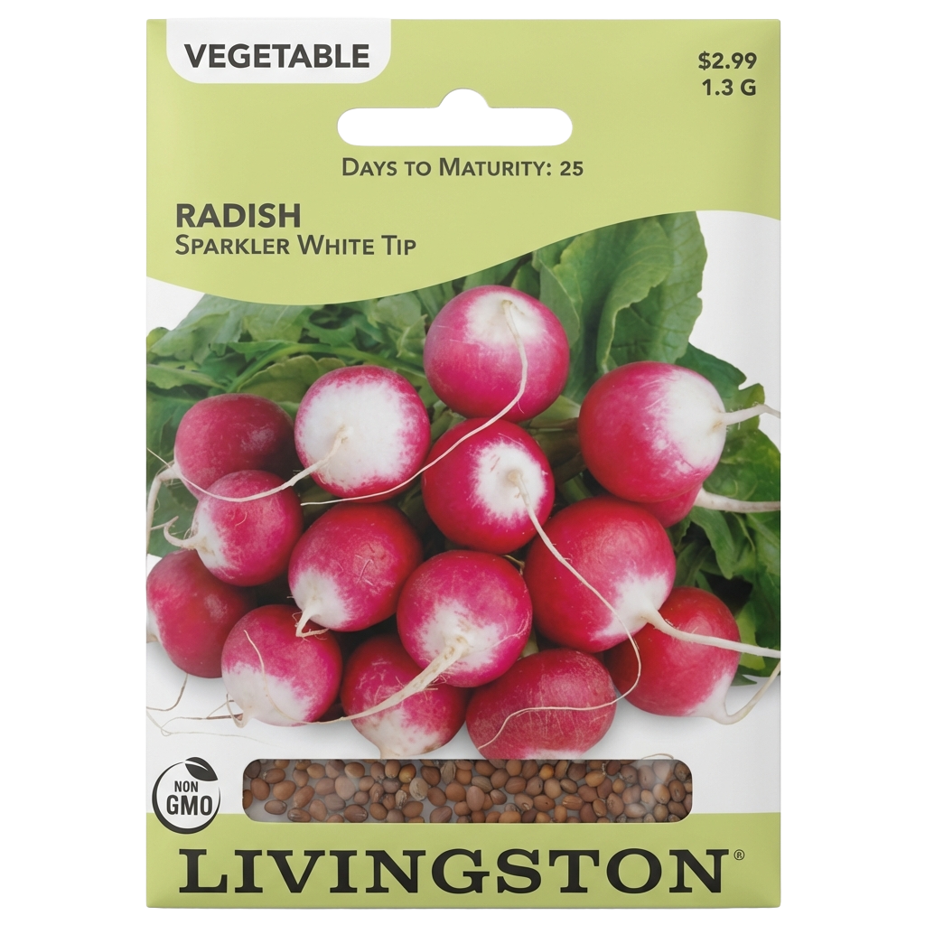 Radish Sparkler White Tip seeds in Galion for crisp, bi-color heirloom harvests.