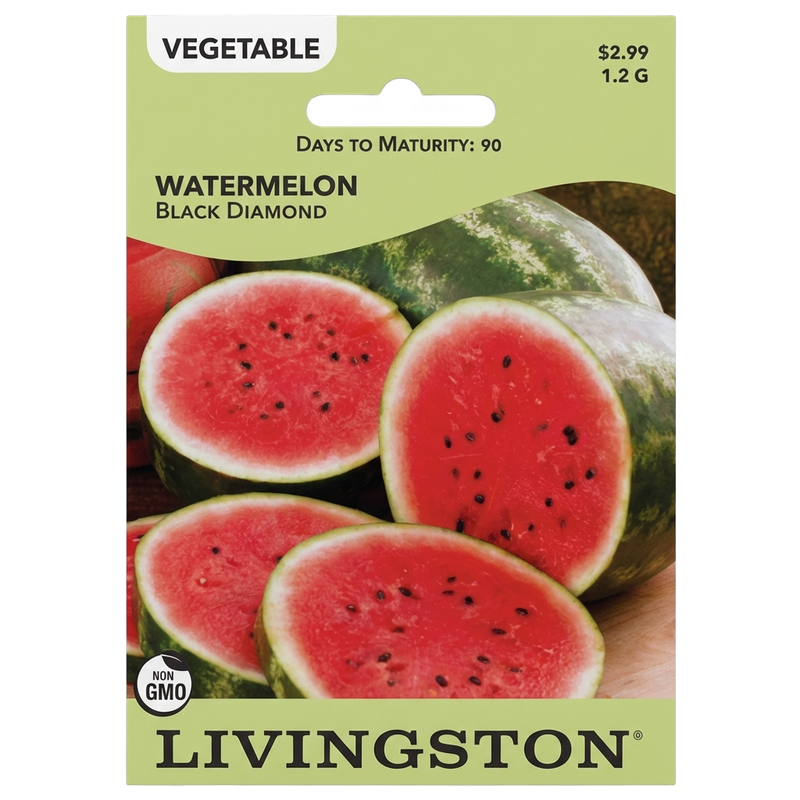 Watermelon Black Diamond seeds in Galion for classic, non-GMO summer harvests.