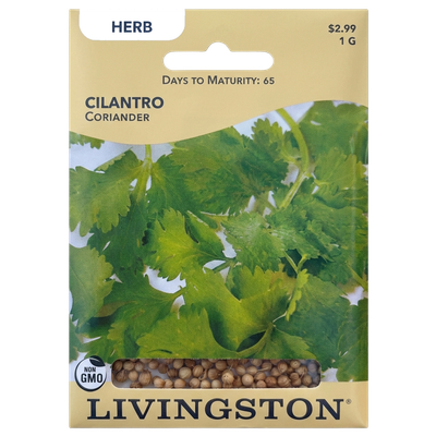 Cilantro seeds in Galion for fresh, non-GMO herb garden harvests.