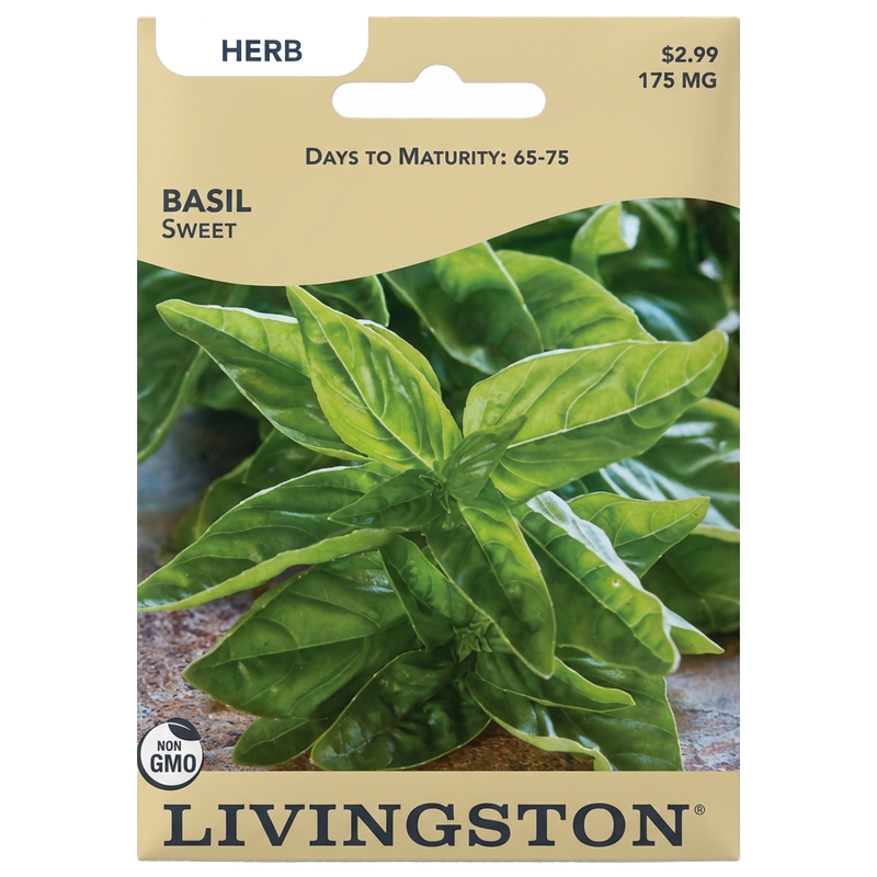 Basil Sweet seeds in Galion for aromatic, non-GMO herb garden harvests.