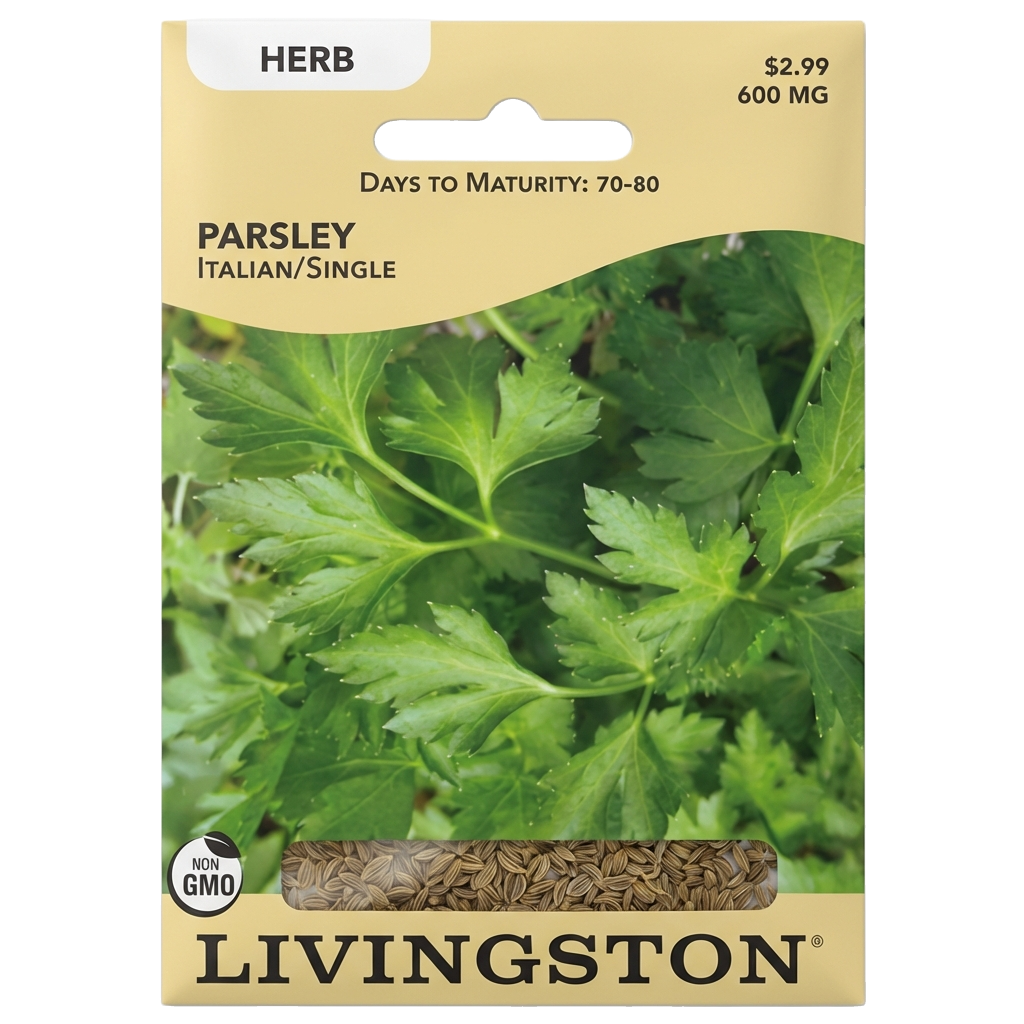 Parsley Italian/Single seeds in Galion for flat-leaf, non-GMO herb harvests.