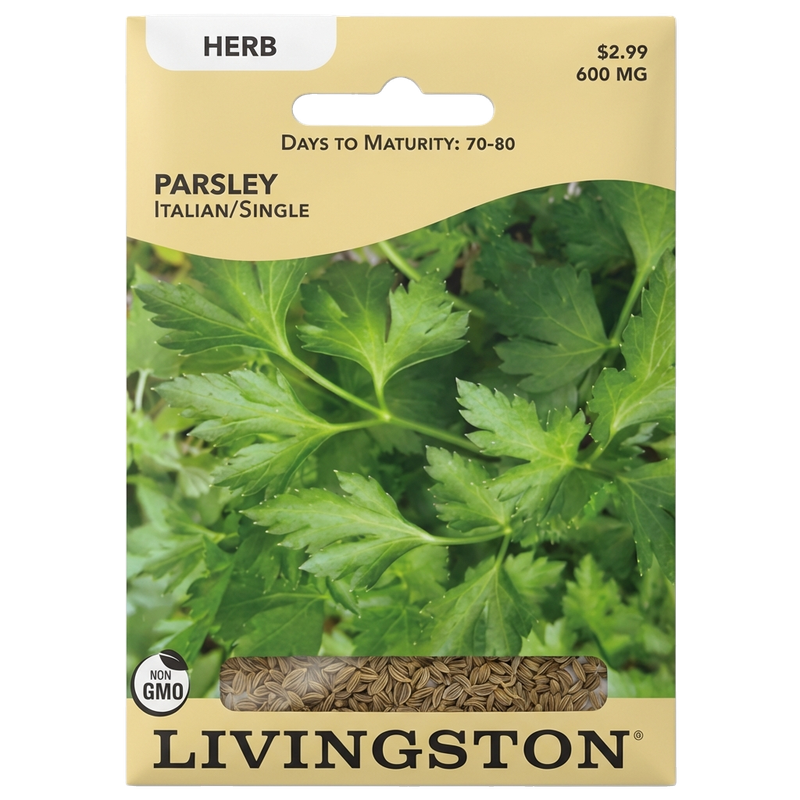 Parsley Italian/Single seeds in Galion for flat-leaf, non-GMO herb harvests.