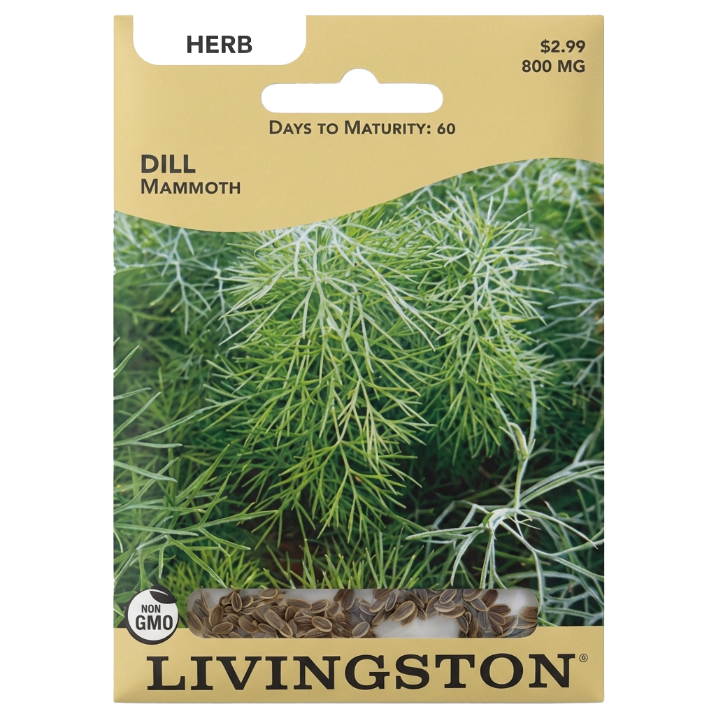 Dill Mammoth seeds in Galion for tall, non-GMO aromatic herb harvests.