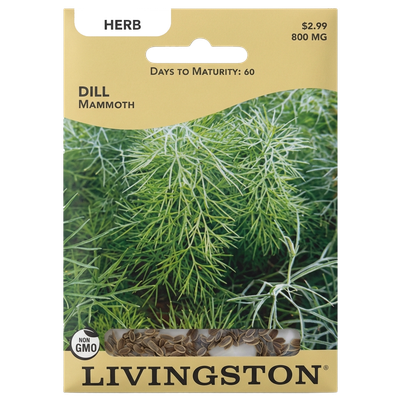 Dill Mammoth seeds in Galion for tall, non-GMO aromatic herb harvests.