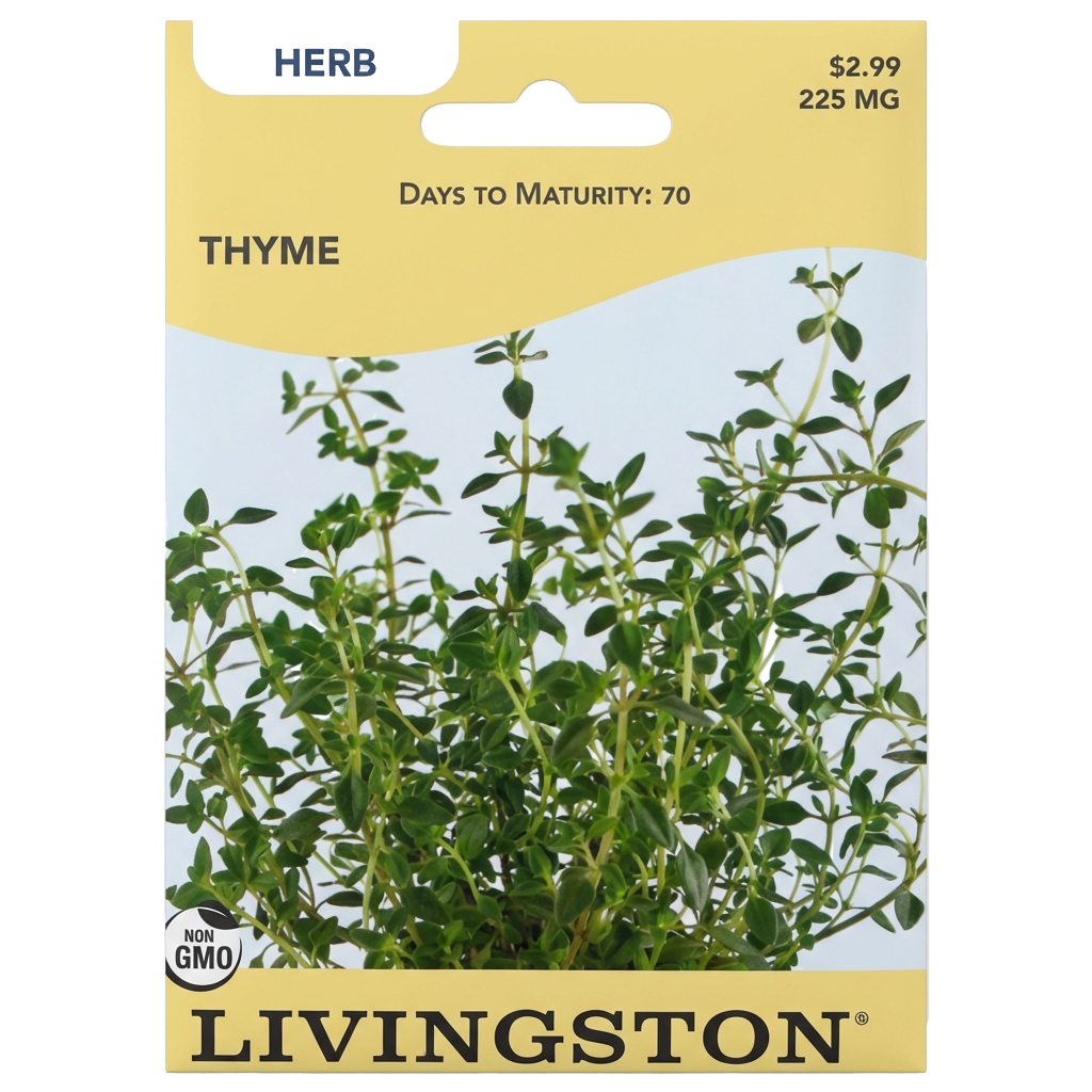Thyme seeds in Galion for aromatic, non-GMO perennial herb harvests.