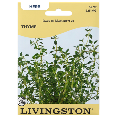 Thyme seeds in Galion for aromatic, non-GMO perennial herb harvests.