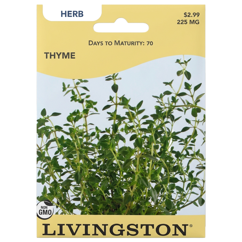 Thyme seeds in Galion for aromatic, non-GMO perennial herb harvests.